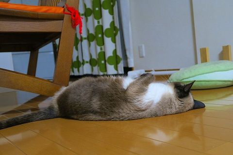 IMG_1745