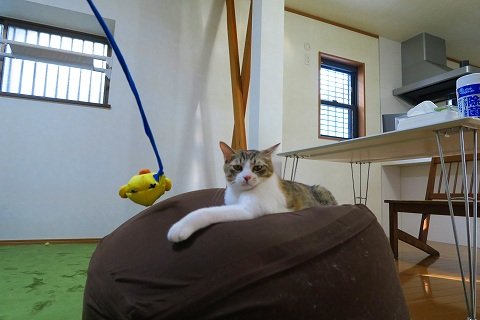 IMG_1367