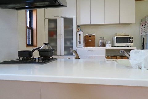 IMG_1325