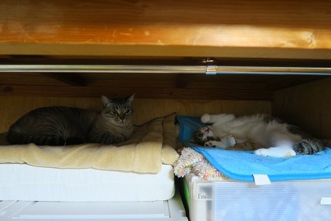 IMG_7473