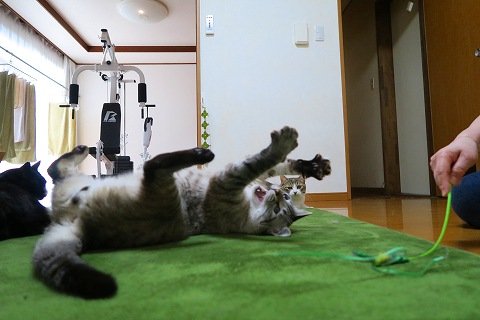 IMG_0705