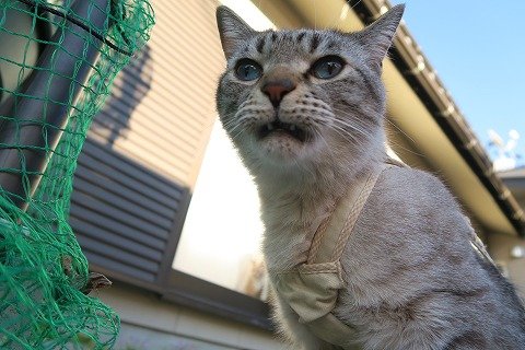 IMG_5419