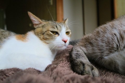 IMG_0039