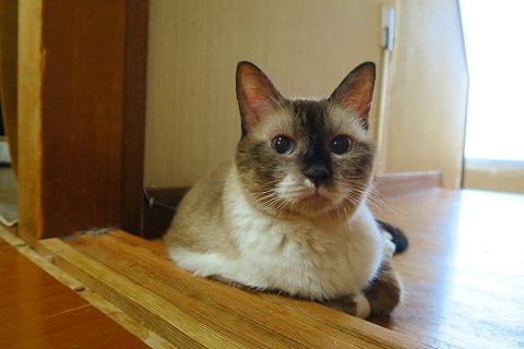 IMG_3635