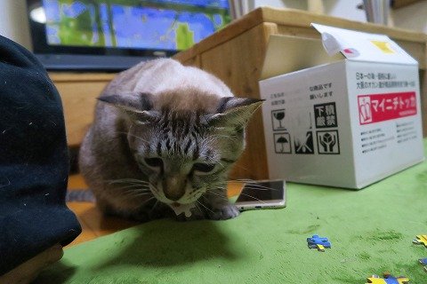 IMG_2951