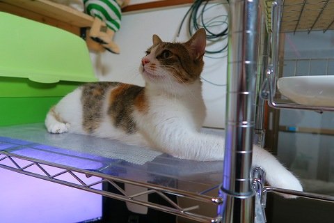 IMG_3956
