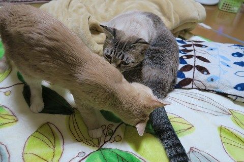 img_2546