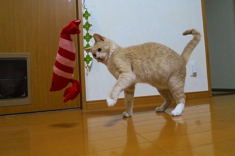 IMG_5569