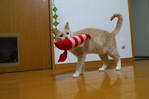 IMG_5568