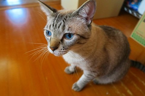 IMG_1774