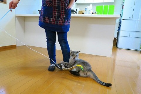 IMG_0257