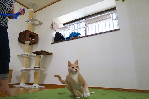 IMG_0557