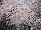 2010修善寺 016