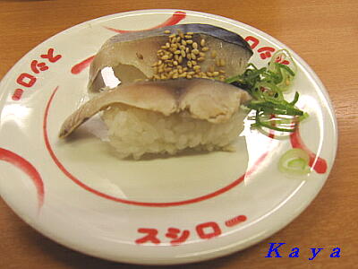 8IMG_6269