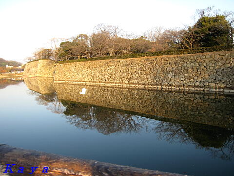 4IMG_1294