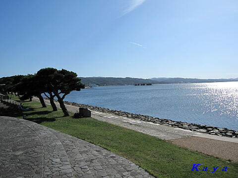 8IMG_7830