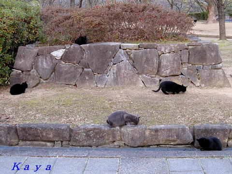 3IMG_1176