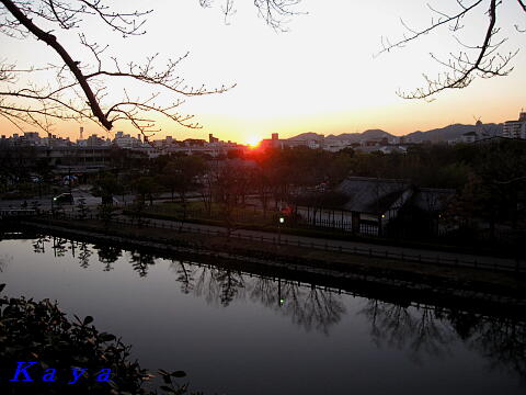 3IMG_1167