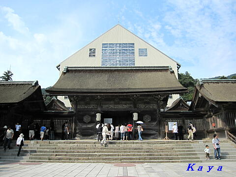 3IMG_8512
