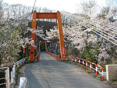 華亭前の橋と桜