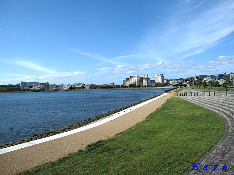 8IMG_7834