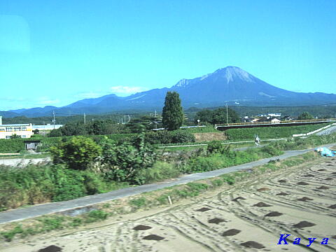 8IMG_7802