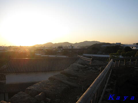 4IMG_1145