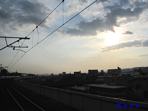 4IMG_0223
