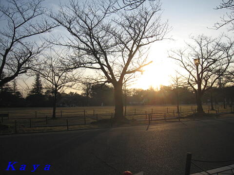 4IMG_1277