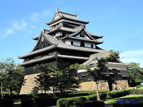 7IMG_7944