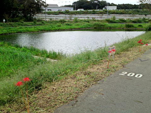 6b6f1206.jpg