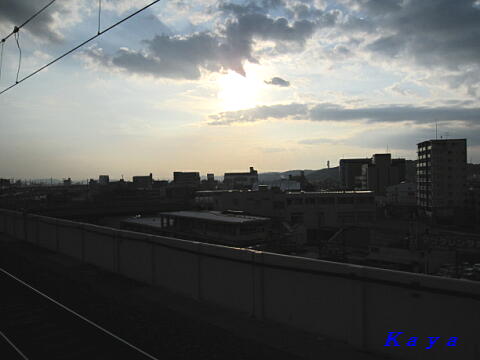 4IMG_0225
