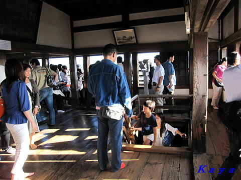 7IMG_7983