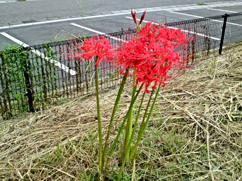 898fd046.jpg