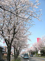 8b374f4d.jpg