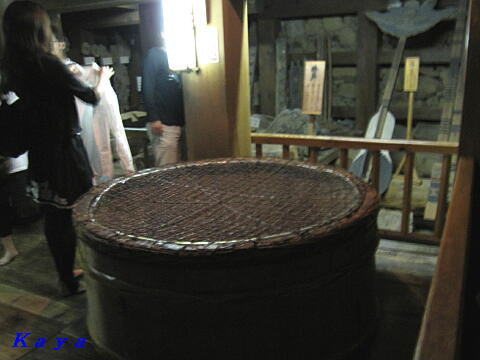 7IMG_7961