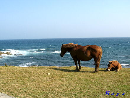 8IMG_3877
