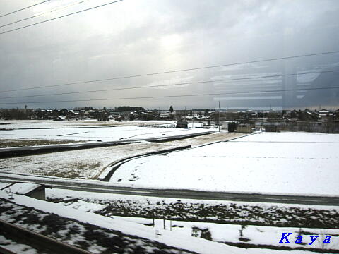 5IMG_4609