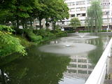 岩手公園噴水