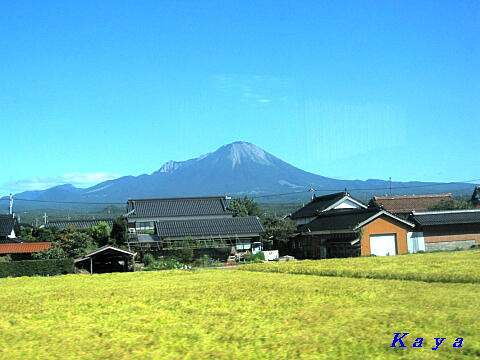 8IMG_7800