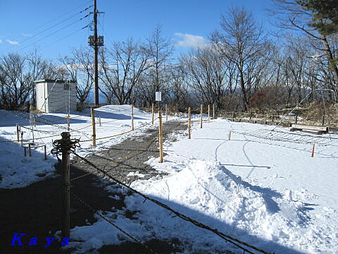 7IMG_1848