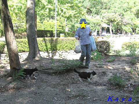 4IMG_4474