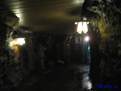6IMG_4241