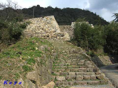 6IMG_3585