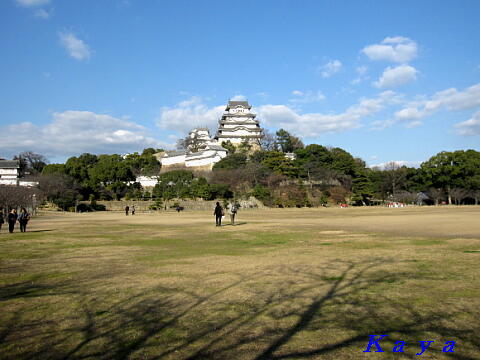 5IMG_1065