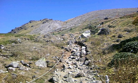 f5c47977.jpg