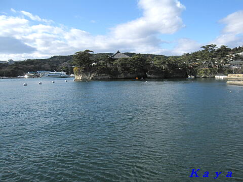 7IMG_1659