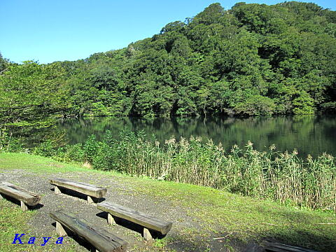 7IMG_5557