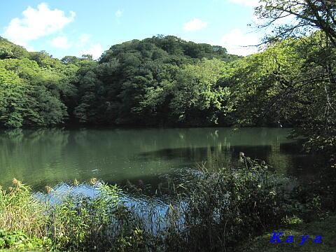 7IMG_5559