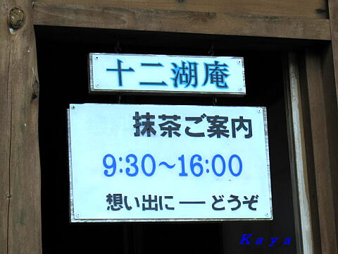7IMG_5560